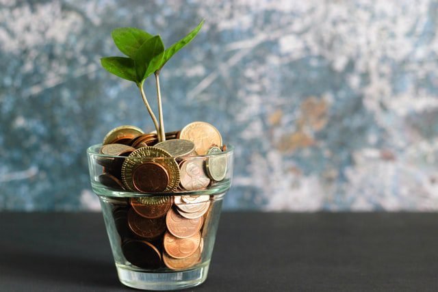 Pot of money with a plant growing out of it